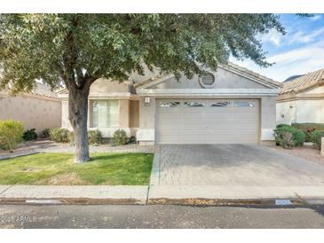 Charming single-story home featuring a two-car garage and a well-maintained front yard with mature trees at 17132 N Silver Path, Surprise, AZ 85374