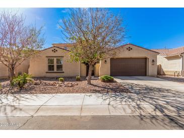 Charming single-story home featuring a two-car garage, low maintenance landscaping and desert-friendly plants at 3687 E Blue Spruce Ln, Gilbert, AZ 85298