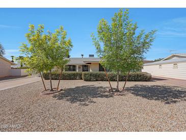 Charming single-story home with low maintenance desert landscaping and mature trees in the front yard at 10650 W Riviera Dr, Sun City, AZ 85351