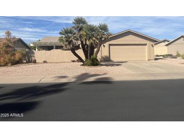 Charming single-story home featuring a two-car garage, desert landscaping, and mature palm trees at 1671 Leisure World --, Mesa, AZ 85206