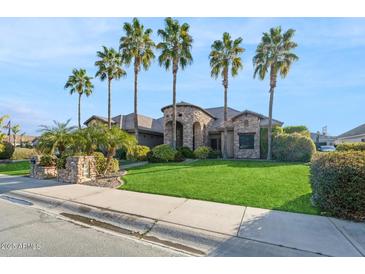 Expansive front yard featuring lush green grass and towering palm trees enhancing curb appeal at 23415 S 202Nd St, Queen Creek, AZ 85142