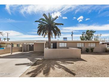 Charming single-story home features a low wall, covered parking, and a mature palm tree in the front yard at 3611 W Hazelwood St, Phoenix, AZ 85019