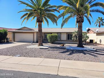 Charming single-story home featuring desert landscaping and mature palm trees at 904 Leisure World --, Mesa, AZ 85206