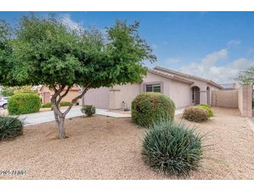 Charming single-story home with a well-maintained front yard and mature trees and bushes at 14952 N 172Nd Ln, Surprise, AZ 85388