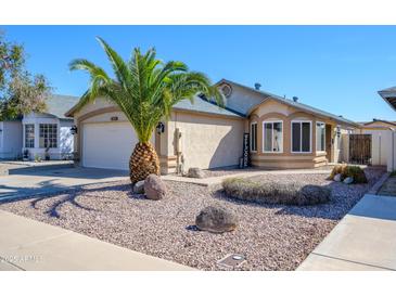 Charming single-story home with desert landscaping and a decorative palm tree in the front yard at 18051 N 88Th Dr, Peoria, AZ 85382