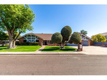 Charming single-story home featuring a well-manicured lawn and unique tree landscaping at 2237 N Kachina --, Mesa, AZ 85203