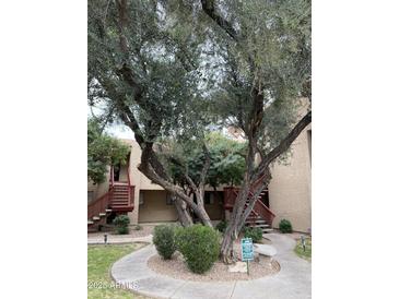 Exterior view of a tan building with wooden stairs and a lush tree in front at 3131 W Cochise Dr # 157, Phoenix, AZ 85051