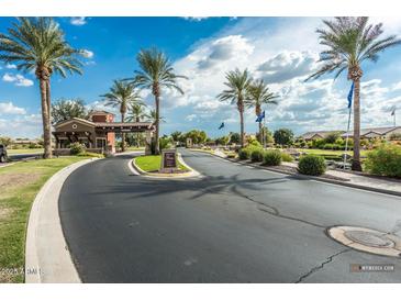 Gated community entrance with palm trees, manicured landscaping, and attractive signage at 42975 W Misty Morning Ln, Maricopa, AZ 85138