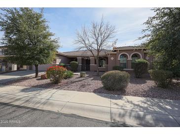 Beautiful single-story home with desert landscaping, mature trees, and a charming facade at 18457 W Ivy Ln, Surprise, AZ 85388