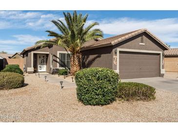 Charming single-story home with a well-manicured desert landscape and a mature palm tree at 48 E Nolana Pl, San Tan Valley, AZ 85143