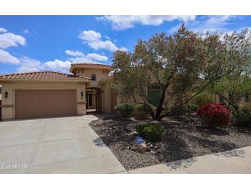 Charming home featuring a private courtyard, stone landscaping, and desert-friendly plants and trees at 31483 N 133Rd Dr, Peoria, AZ 85383