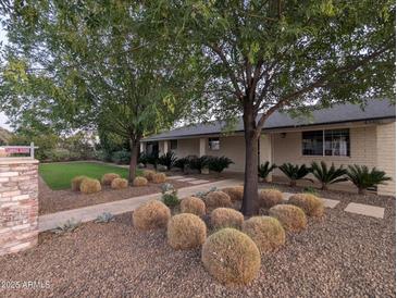 Beautifully landscaped front yard featuring mature trees and decorative rock at 4145 E Libby St, Phoenix, AZ 85032