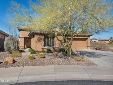 Charming front exterior with desert landscaping, mature trees, and a two-car garage at 41310 N Clear Crossing Ct, Anthem, AZ 85086