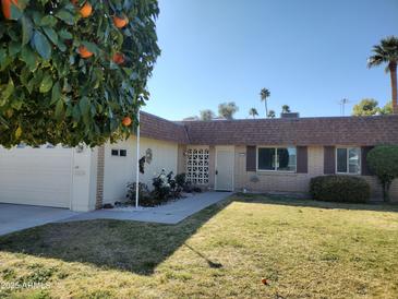 Charming single-story home featuring a well-maintained lawn and beautiful orange tree in a tranquil neighborhood setting at 9202 N 107Th Ave, Sun City, AZ 85351