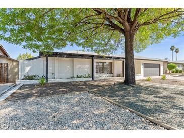 Charming single-story home features a white brick facade, mature tree, and xeriscaped front yard at 8419 N 51St Dr, Glendale, AZ 85302