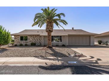 Charming single-story home with a well-manicured front yard featuring a mature palm tree at 13007 W Butterfield Dr, Sun City West, AZ 85375