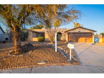 Charming single-story home with a well-maintained yard featuring desert landscaping and mature tree at 3744 E Evans Dr, Phoenix, AZ 85032