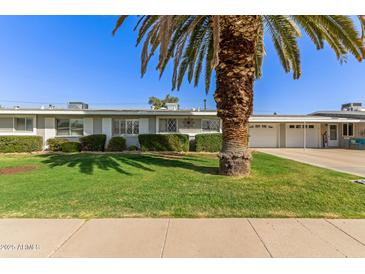Charming single-story home with a well-manicured front yard and a mature palm tree at 10750 W Abbott Ave, Sun City, AZ 85351