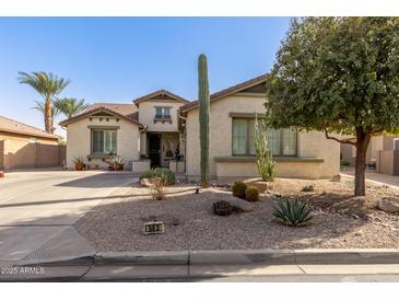 Charming single-story home featuring desert landscaping, a large Saguaro cactus, and a covered front entrance at 583 W Bismark St, San Tan Valley, AZ 85143