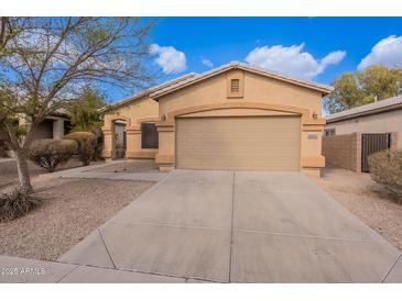 Charming single story house with neutral tan color scheme and a well maintained front yard at 1100 E Canyon Trl, San Tan Valley, AZ 85143