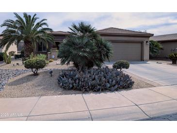 Beautiful front yard featuring desert landscaping with palm trees, cacti, and decorative rock at 19437 N Guardian Ln, Surprise, AZ 85387