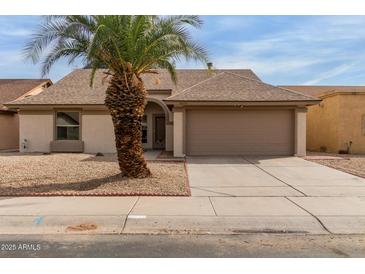Charming single-story home with desert landscaping and a mature palm tree in the front yard at 10135 W Orange Dr, Glendale, AZ 85307