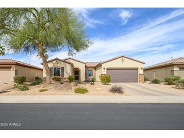 Charming single-story home featuring a low-maintenance yard and a classic desert landscape design at 19140 N Tamarisk Flower Way, Surprise, AZ 85387