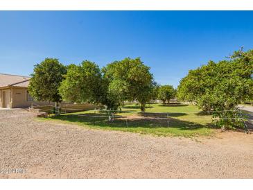 Spacious front yard with gravel and well-manicured trees provides a charming and inviting curb appeal at 17203 E Starflower Ct, Queen Creek, AZ 85142