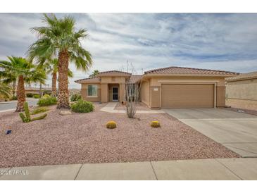 Charming single-story home featuring desert landscaping, mature palms, and a two-car garage at 17335 W Gould Mine Ln, Surprise, AZ 85387