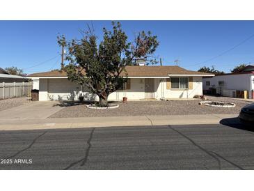 Charming single-story home featuring a well-maintained, xeriscaped front yard and a mature shade tree at 5732 E Covina Rd, Mesa, AZ 85205