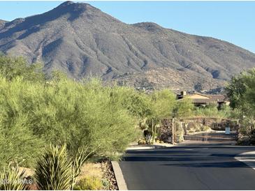 Gated street with lush landscaping and mountain views create an inviting desert community at 37654 N 102Nd Pl, Scottsdale, AZ 85262