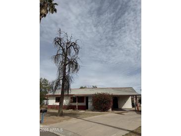 Charming single-story home featuring a covered carport, blooming bougainvillea and front tree at 1616 E Pecan Rd, Phoenix, AZ 85040