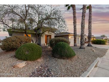 Charming home exterior with meticulously maintained xeriscaped front yard and mature landscaping at 20029 N Coronado Ridge Dr, Surprise, AZ 85387