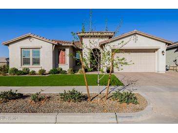 Charming single-story home with a manicured lawn and inviting curb appeal at 4834 S Meteor --, Mesa, AZ 85212