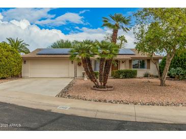 Charming single-story home with desert landscaping, palm trees, and solar panels at 9918 W Willow Creek Cir, Sun City, AZ 85373