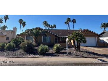 Well-maintained single-story home with desert landscaping and a two-car garage, complemented by mature palm trees at 4807 E Everett Dr, Scottsdale, AZ 85254