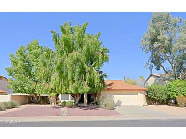 Charming single-story home with a well-maintained front yard, desert landscaping and mature trees at 6228 W Caribbean Ln, Glendale, AZ 85306