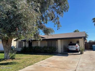 Charming single-story home featuring a well-maintained lawn and mature tree in a desirable neighborhood at 19407 N 3Rd Dr, Phoenix, AZ 85027