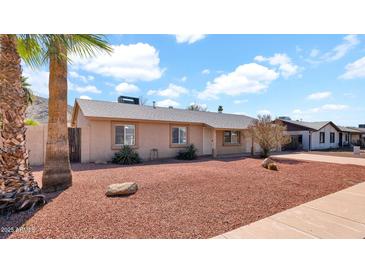 Charming single-story home featuring a well-kept landscape with a palm tree in a desert environment, perfect for serene living at 1633 W Andorra Dr, Phoenix, AZ 85029