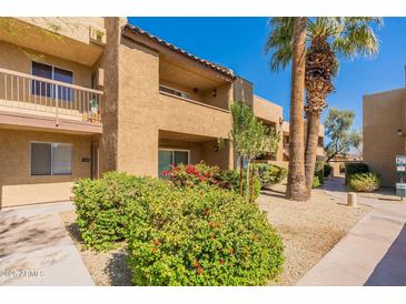 Condo exterior featuring well-maintained landscaping, with mature palm trees and vibrant flowering bushes at 5877 N Granite Reef Rd # 1145, Scottsdale, AZ 85250