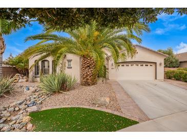 Charming home featuring a well-manicured front yard with a beautiful palm tree and lush landscaping at 2878 E Tonto Dr, Gilbert, AZ 85298