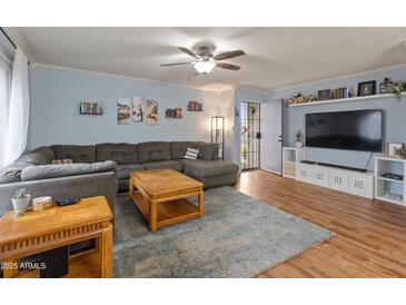 Inviting living room featuring a large sectional sofa, ceiling fan, and wood-look floors at 8401 N 55Th Ave, Glendale, AZ 85302