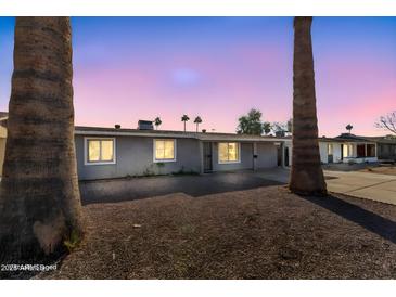 Cozy single-story home with mature landscaping, palm trees, and an inviting desert ambiance at 1243 E Susan Ln, Tempe, AZ 85288