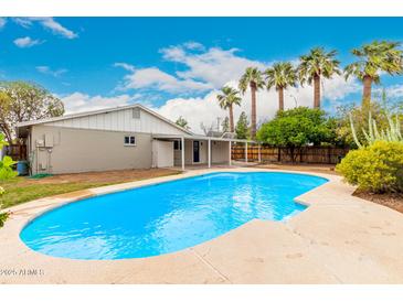 Backyard pool view features a pool, patio, palm trees, and the exterior of the home at 2356 W Catalina Ave, Mesa, AZ 85202
