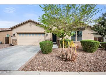 Charming single-story home featuring a well-maintained desert-scape front yard and two-car garage at 2336 W Magdalena Ln, Phoenix, AZ 85041