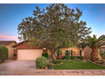 Inviting brick home featuring manicured lawn, large shade tree, lush landscape, and an attached two car garage at 4945 E Shapinsay Dr, San Tan Valley, AZ 85140