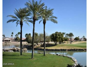 Scenic golf course view featuring a tranquil pond with palm trees and lush green landscaping on a sunny day at 18668 N Lariat Ct, Surprise, AZ 85387