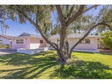 Charming single-story home featuring a landscaped front yard and mature shade tree on a sunny day at 8613 E Citrus Way, Scottsdale, AZ 85250
