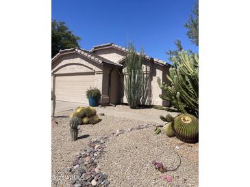 Charming desert landscaping with cacti and rock accents in this home's front yard at 4728 E Swilling Rd, Phoenix, AZ 85050