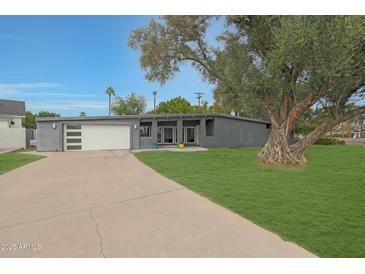 Contemporary gray home featuring a large tree, modern garage door, and well-maintained green lawn at 6746 E Monterosa St, Scottsdale, AZ 85251
